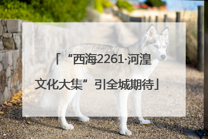 “西海2261·河湟文化大集”引全城期待