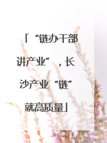 “链办干部讲产业”，长沙产业“链”就高质量