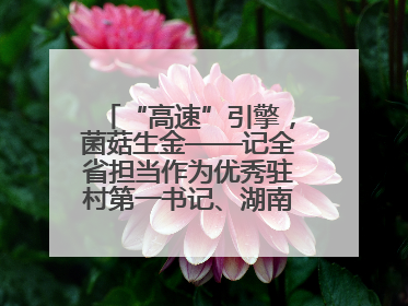“高速”引擎，菌菇生金——记全省担当作为优秀驻村第一书记、湖南高速集团肖兴旺