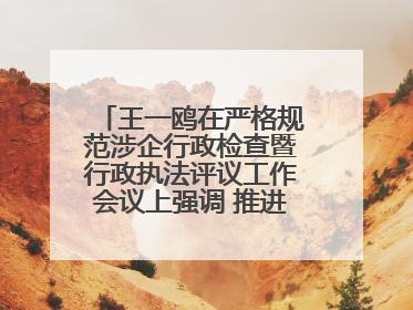 王一鸥在严格规范涉企行政检查暨行政执法评议工作会议上强调 推进涉企行政检查质效大幅提升