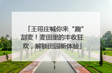 王哥庄喊你来“趣”割麦！麦田里的丰收狂欢，解锁田园新体验