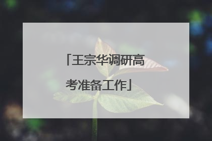 王宗华调研高考准备工作