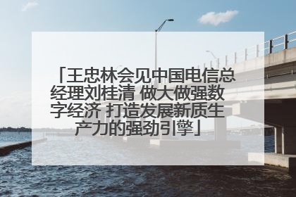 王忠林会见中国电信总经理刘桂清 做大做强数字经济 打造发展新质生产力的强劲引擎
