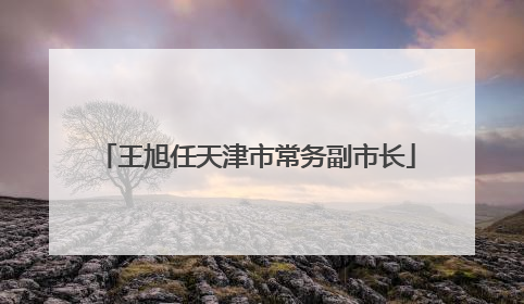 王旭任天津市常务副市长