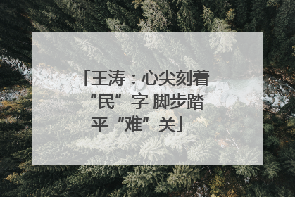 王涛：心尖刻着“民”字 脚步踏平“难”关