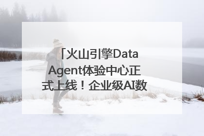 火山引擎Data Agent体验中心正式上线！企业级AI数据专家触手可及