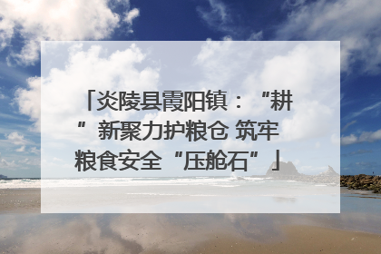 炎陵县霞阳镇：“耕”新聚力护粮仓 筑牢粮食安全“压舱石”