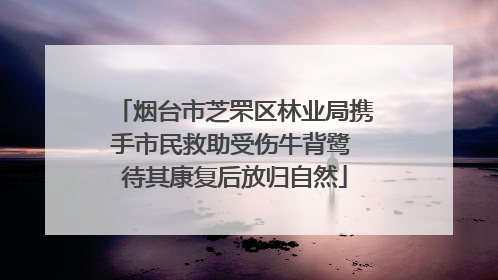 烟台市芝罘区林业局携手市民救助受伤牛背鹭 待其康复后放归自然