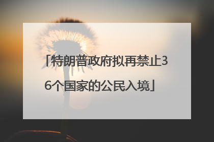特朗普政府拟再禁止36个国家的公民入境