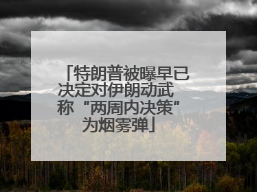 特朗普被曝早已决定对伊朗动武 称“两周内决策”为烟雾弹