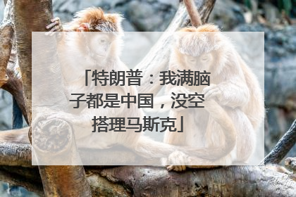 特朗普：我满脑子都是中国，没空搭理马斯克