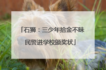 石狮：三少年拾金不昧 民警进学校颁奖状