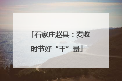 石家庄赵县：麦收时节好“丰”景