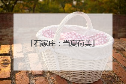 石家庄：当夏荷美