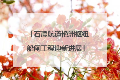 石澧航道艳洲枢纽船闸工程迎新进展