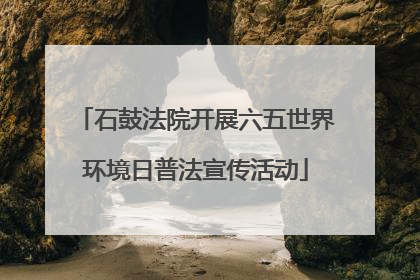 石鼓法院开展六五世界环境日普法宣传活动