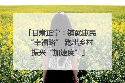 甘肃正宁：铺就惠民“幸福路” 跑出乡村振兴“加速度”