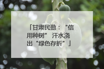 甘肃民勤：“信用种树” 汗水浇出“绿色存折”