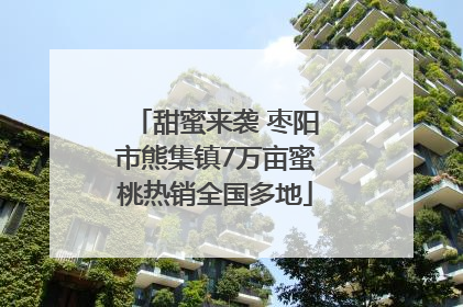 甜蜜来袭 枣阳市熊集镇7万亩蜜桃热销全国多地