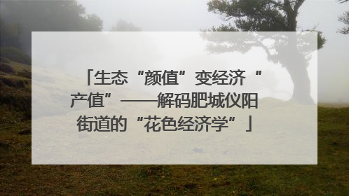生态“颜值”变经济“产值”——解码肥城仪阳街道的“花色经济学”