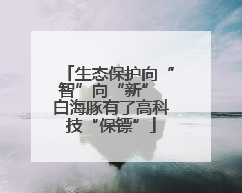 生态保护向“智”向“新” 白海豚有了高科技“保镖”