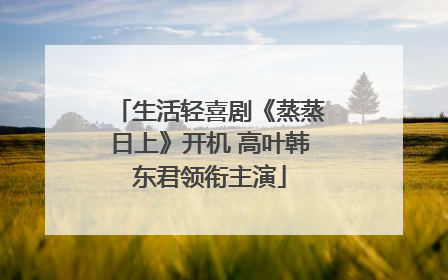 生活轻喜剧《蒸蒸日上》开机 高叶韩东君领衔主演