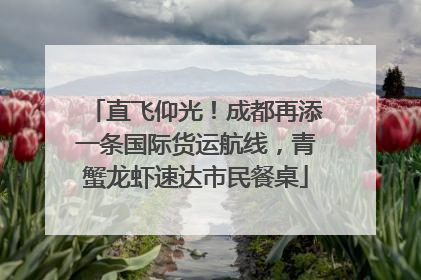直飞仰光！成都再添一条国际货运航线，青蟹龙虾速达市民餐桌