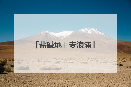 盐碱地上麦浪涌