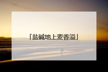 盐碱地上麦香溢