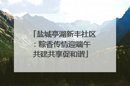 盐城亭湖新丰社区：粽香传情迎端午 共建共享促和谐