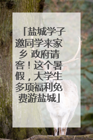 盐城学子邀同学来家乡 政府请客！这个暑假，大学生多项福利免费游盐城