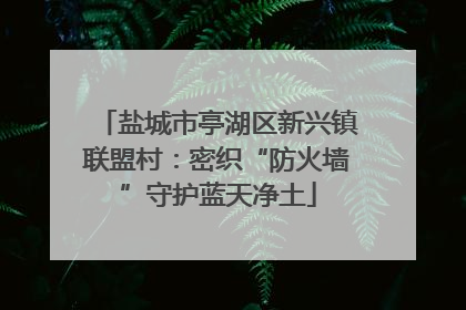 盐城市亭湖区新兴镇联盟村：密织“防火墙”守护蓝天净土