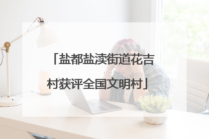盐都盐渎街道花吉村获评全国文明村