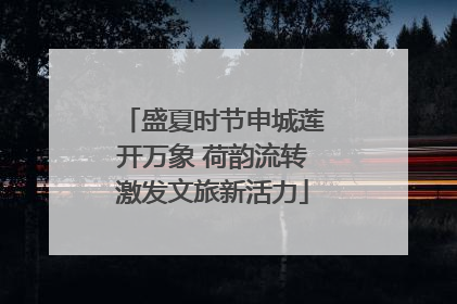 盛夏时节申城莲开万象 荷韵流转激发文旅新活力