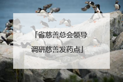 省慈善总会领导调研慈善发药点