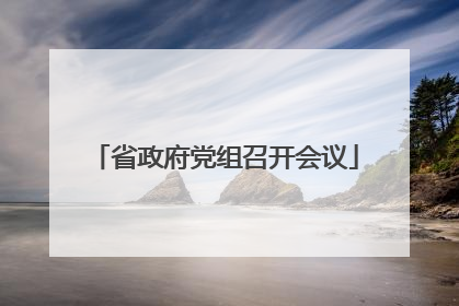 省政府党组召开会议