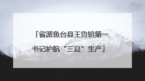 省派鱼台县王鲁镇第一书记护航“三夏”生产