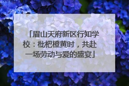 眉山天府新区行知学校：枇杷橙黄时，共赴一场劳动与爱的盛宴