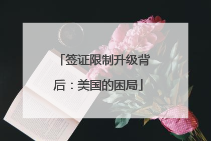 签证限制升级背后：美国的困局