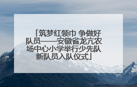 筑梦红领巾 争做好队员——安徽省龙亢农场中心小学举行少先队新队员入队仪式