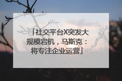 社交平台X突发大规模宕机，马斯克：将专注企业运营