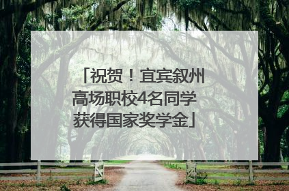 祝贺！宜宾叙州高场职校4名同学获得国家奖学金