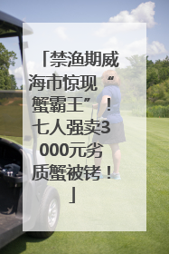 禁渔期威海市惊现“蟹霸王”！七人强卖3000元劣质蟹被铐！
