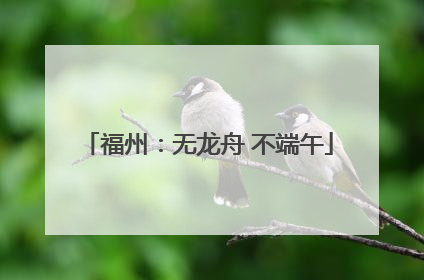 福州：无龙舟 不端午