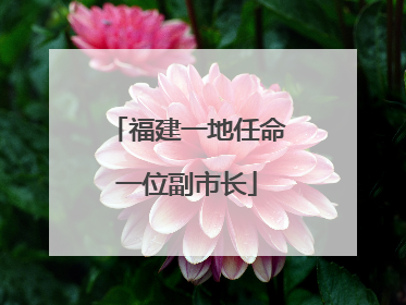 福建一地任命一位副市长