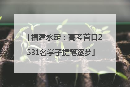 福建永定：高考首日2531名学子提笔逐梦