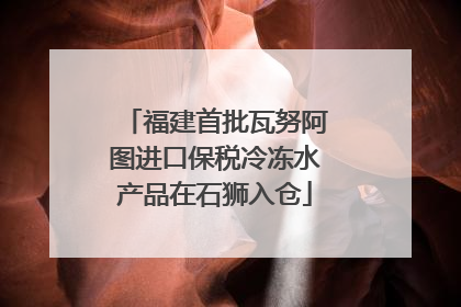 福建首批瓦努阿图进口保税冷冻水产品在石狮入仓