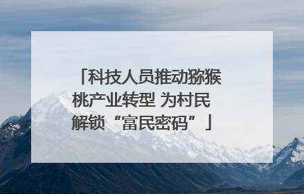 科技人员推动猕猴桃产业转型 为村民解锁“富民密码”