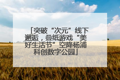 突破“次元”线下邂逅，叠纸游戏“美好生活节”空降杨浦科创数字公园