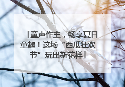 童声作主，畅享夏日童趣！这场“西瓜狂欢节”玩出新花样